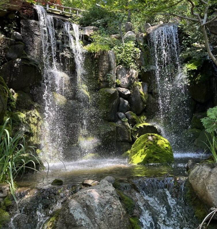 Picture of Anderson Japanese Gardens
