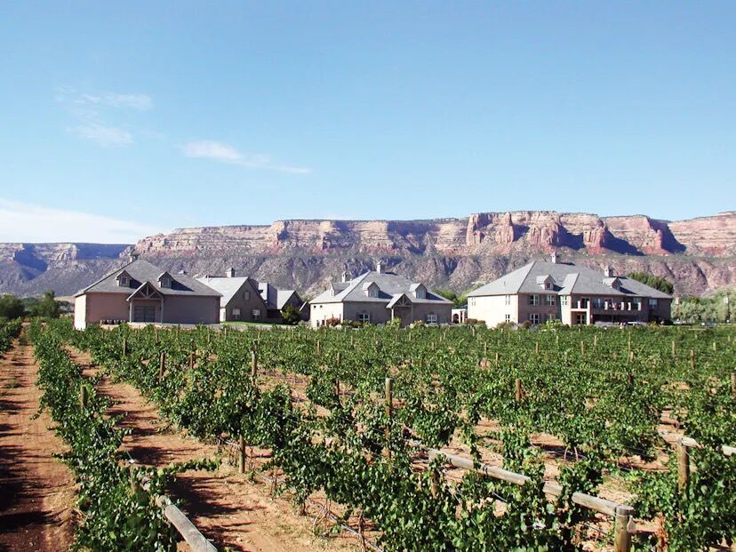 Picture of Buckel Family Wine