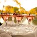 The couple served pink Badgertinis (otherwise known as a Cosmopolitan), named after the University of Wisconsin mascot.
