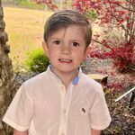 Hudson Hawkins