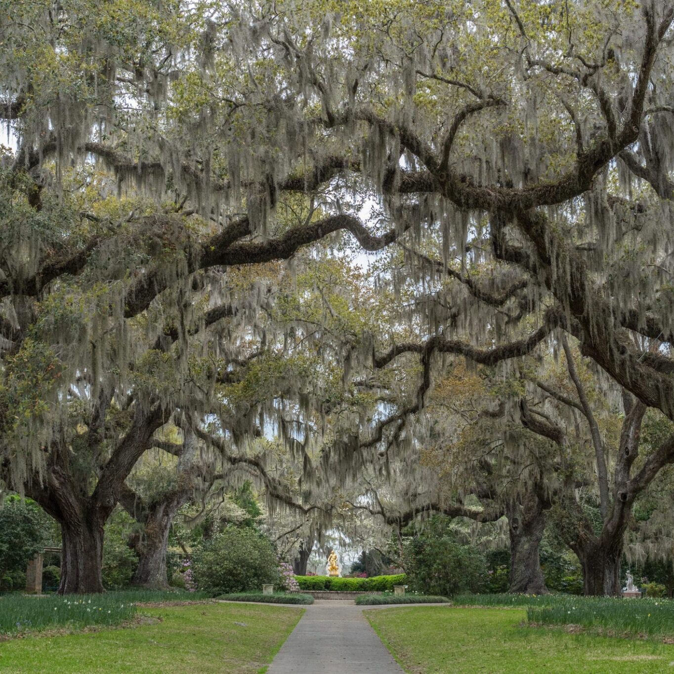 Picture of Brookgreen Gardens