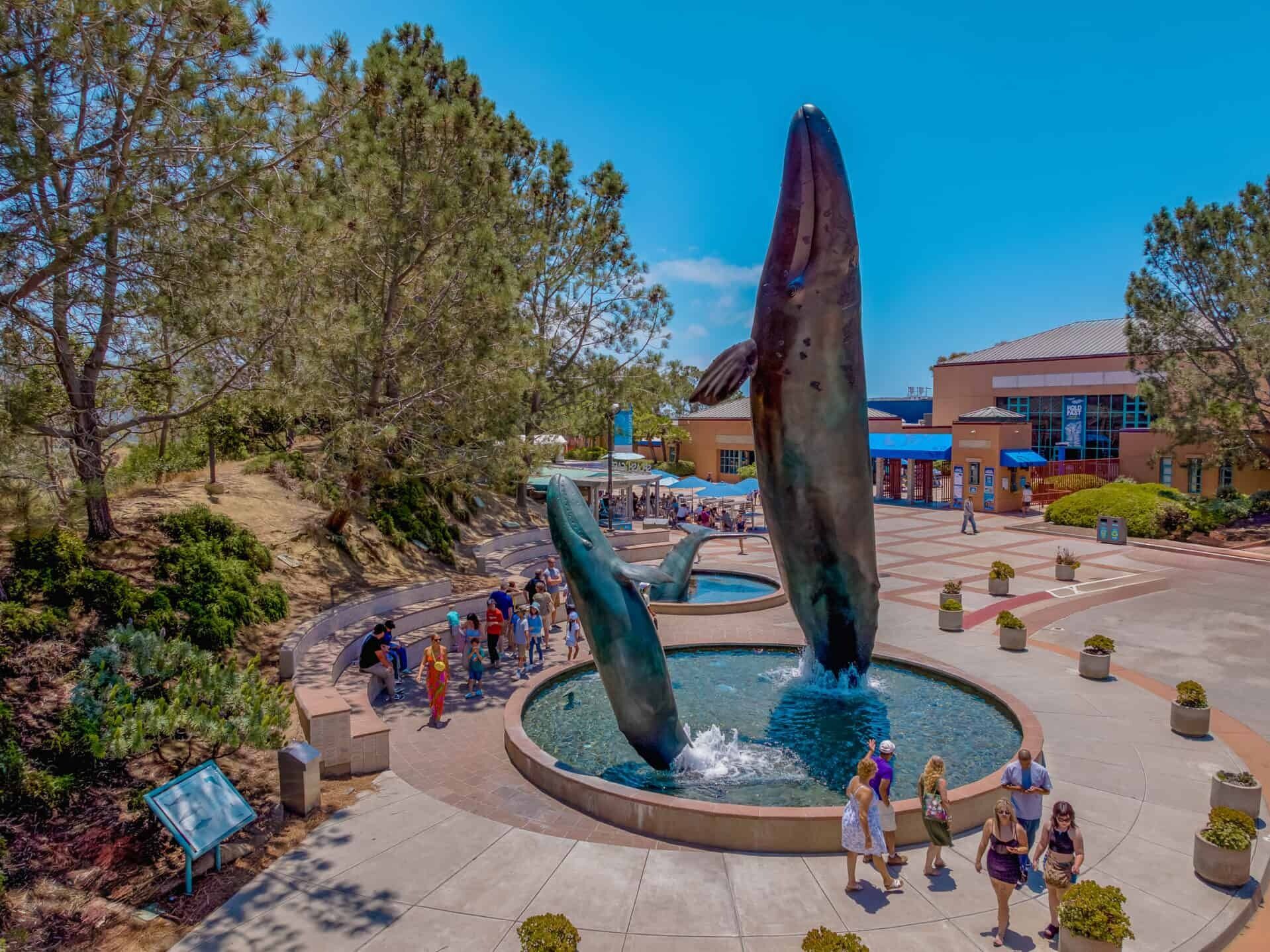 Picture of Birch Aquarium
