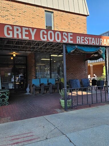 Picture of The Grey Goose