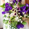 A Classic Jewel Tone Wedding at The Rainbow Room in New York City