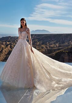 PRONOVIAS PRIVÉE PLATINUM Ball Gown Wedding Dress