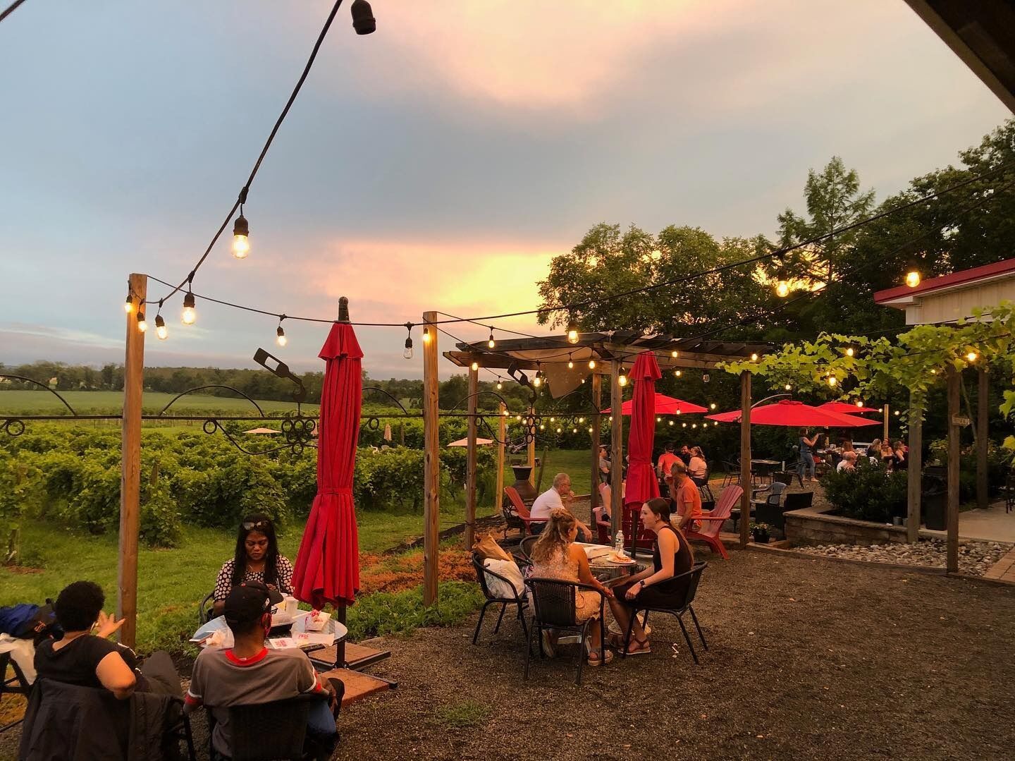 Picture of Iron Plow Vineyards