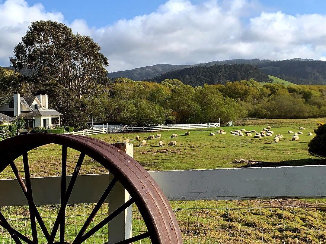 Picture of Mission Ranch Restaurant