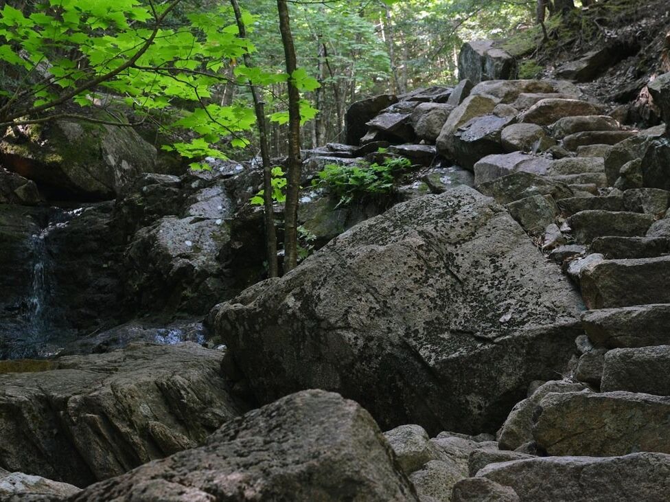 Picture of Gorge Path