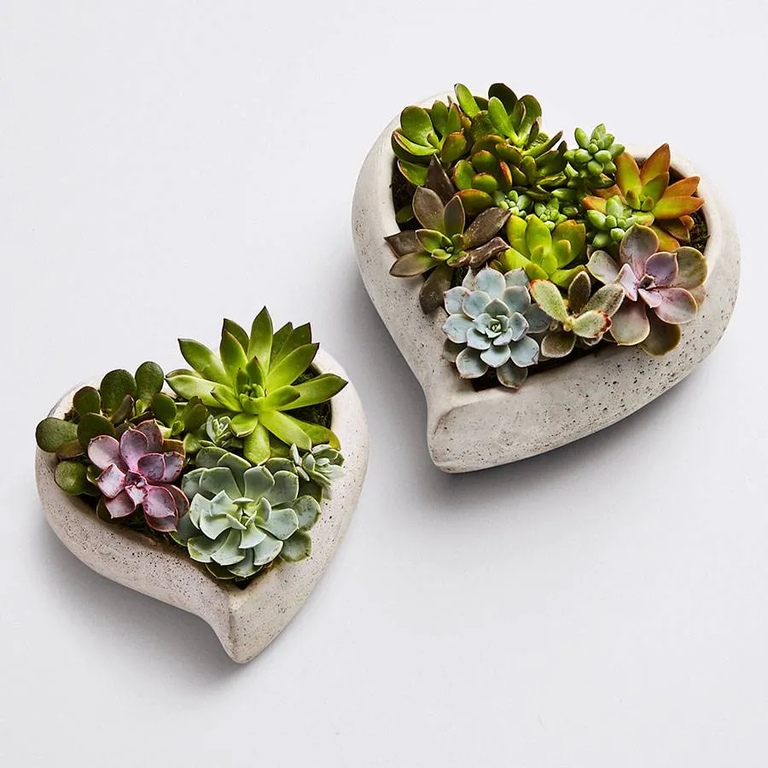 The 33 Best Gift Ideas for Any Married Couple