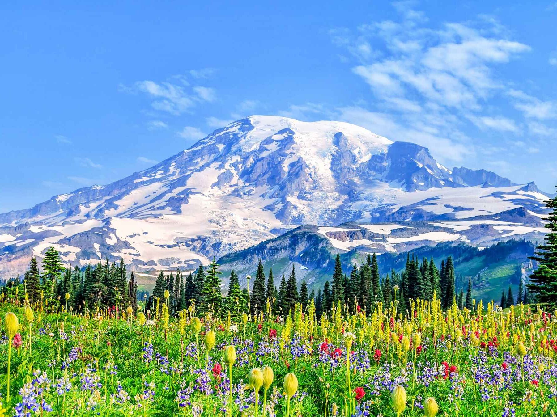 Picture of Mount Rainier National Park