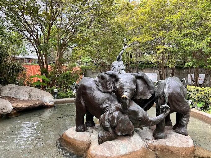 Picture of Dallas Zoo