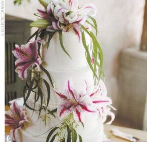 The Cake