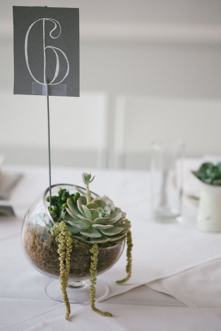 Table Numbers