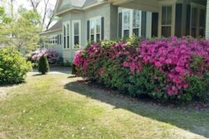 Picture of Baker Street Bed and Breakfast