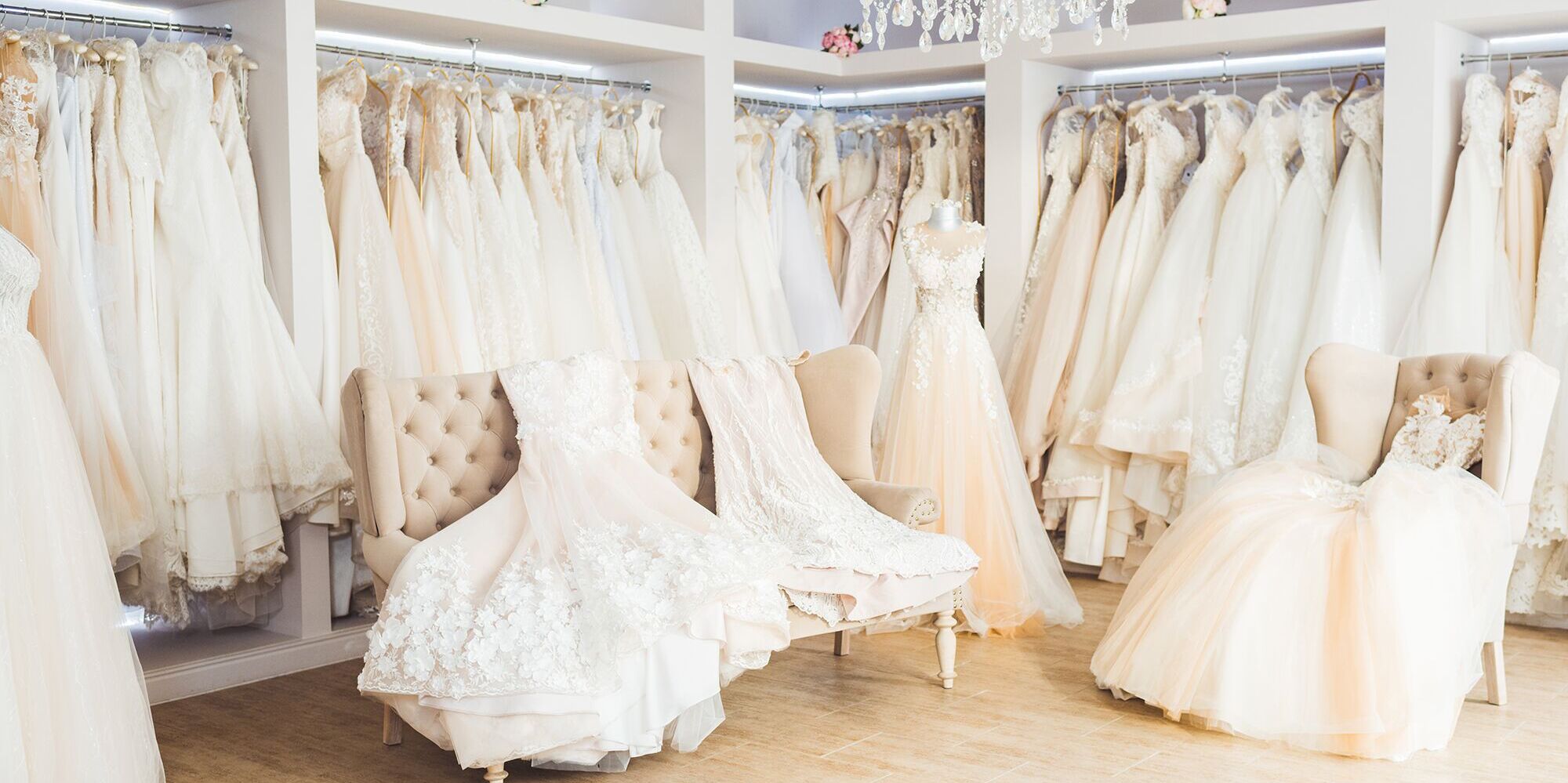 Picture of Say Yes To The Dress