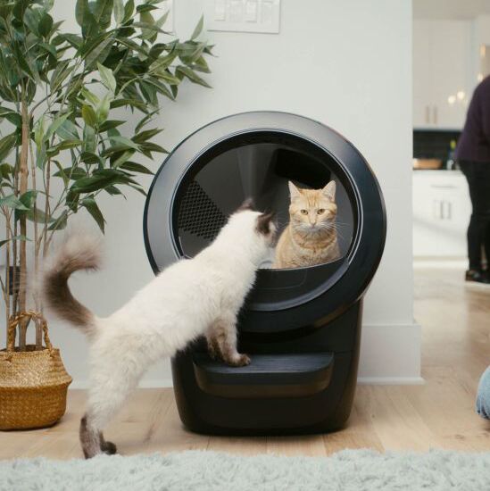Two cats investigate a robotic litter box.