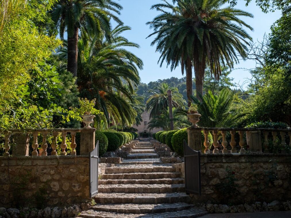 Picture of Jardins De Alfabia
