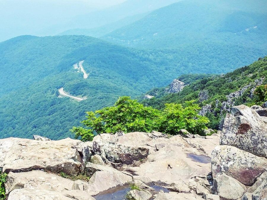 Picture of Stony Man Trailhead