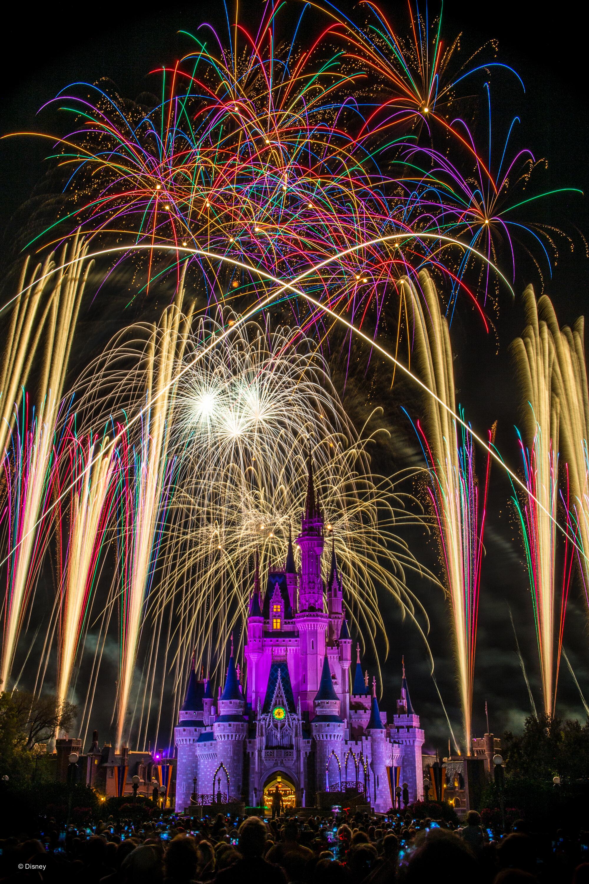 Picture of Walt Disney World Resort