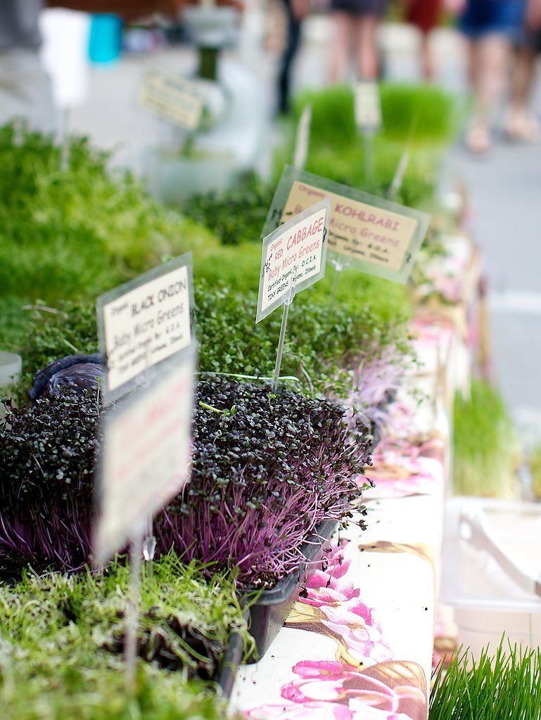 Picture of Crested Butte Farmers Market