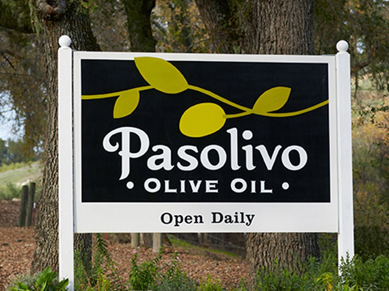 Picture of Pasolivo Olive Oil