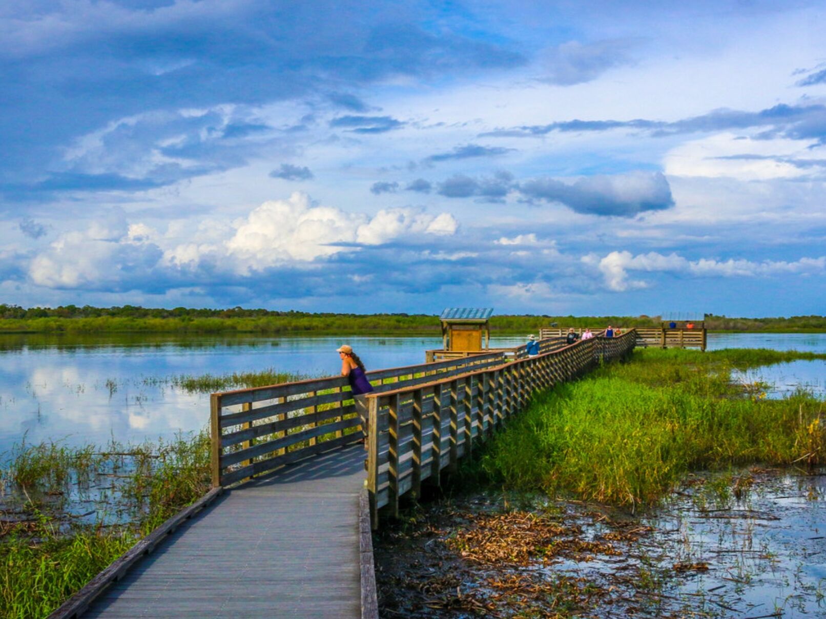 Picture of Myakka River State Park