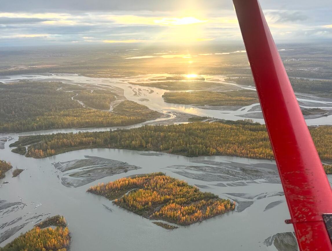 Picture of Denali Flightseeing Tour & Denali Glacier Landing with Sheldon Air Service