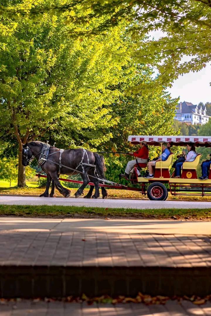 Picture of Mackinac Island State Park