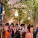 Guests Dancing at Tented, Enchanted Garden Reception Under Trees