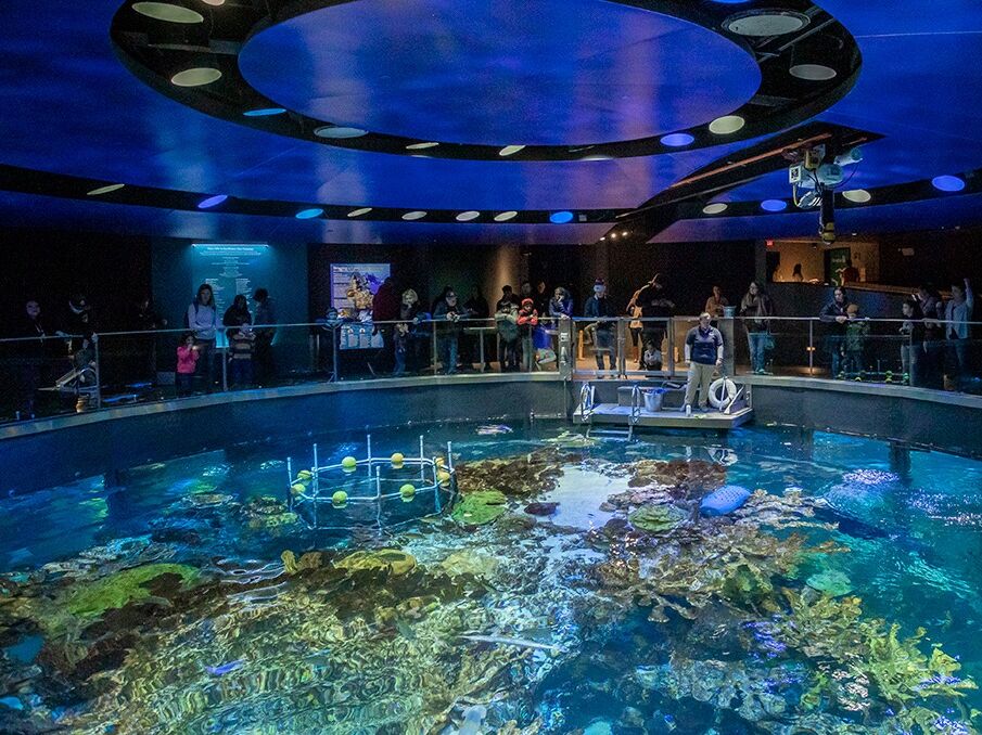Picture of New England Aquarium