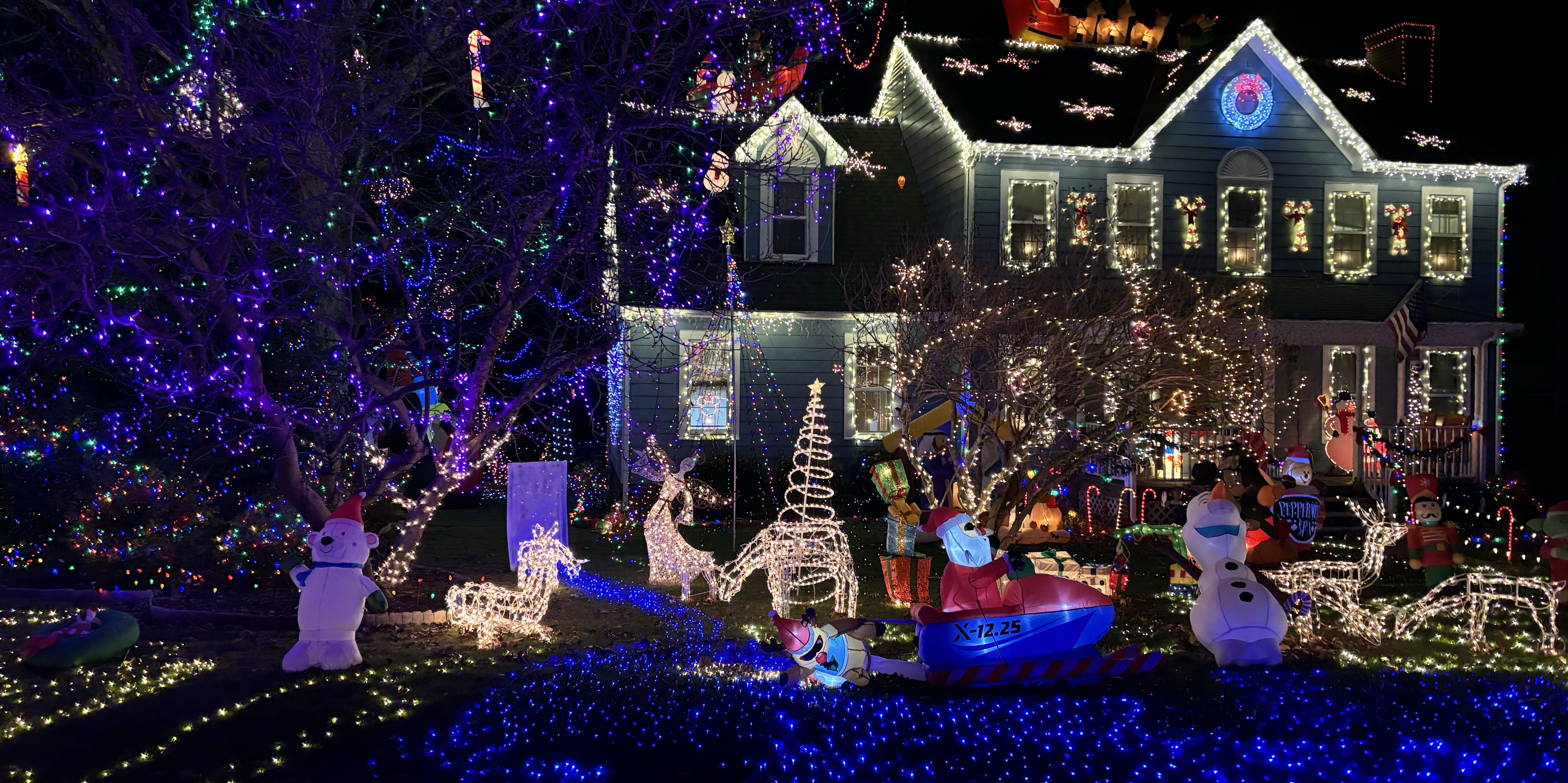 Picture of Christmas Lights 
