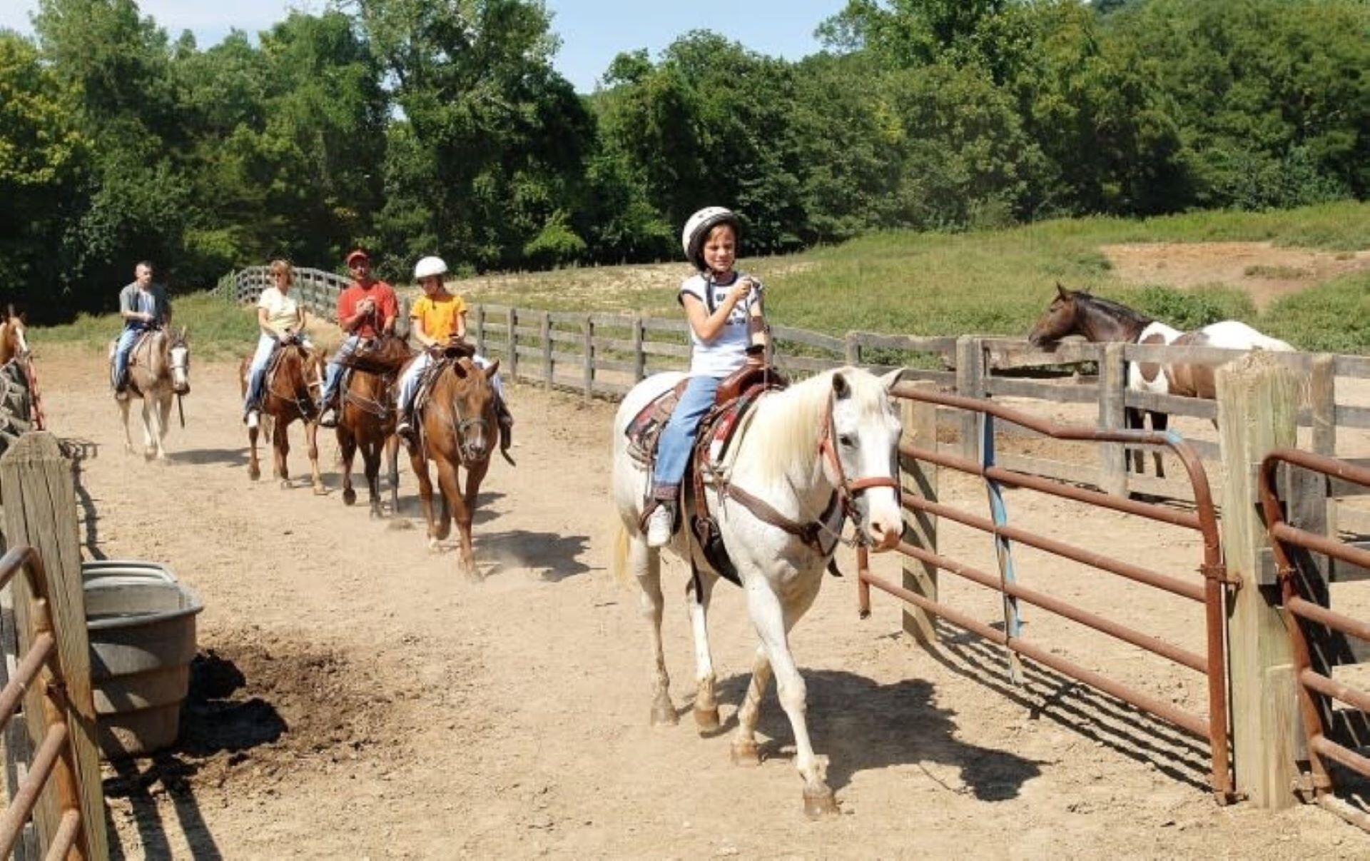Picture of Pere Marquette Riding Stables
