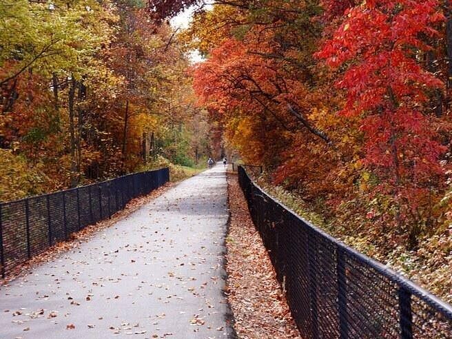 Picture of Swamp Rabbit trail