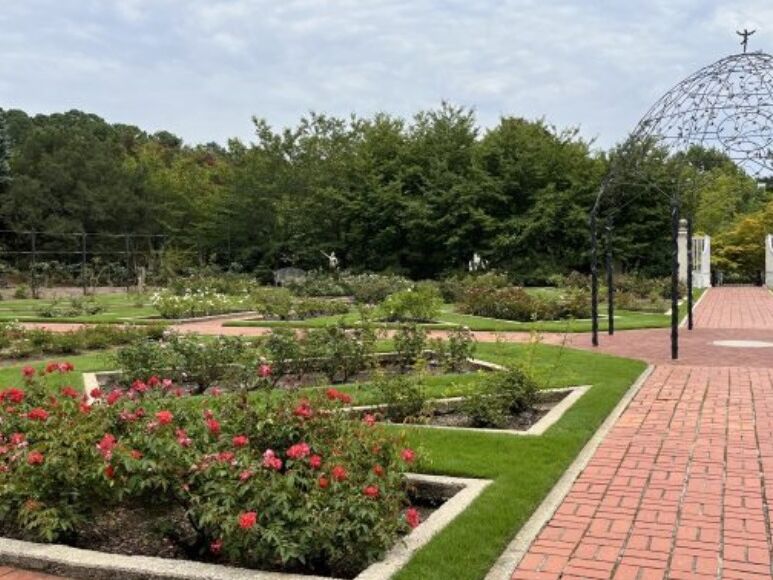 Picture of Birmingham Botanical Gardens