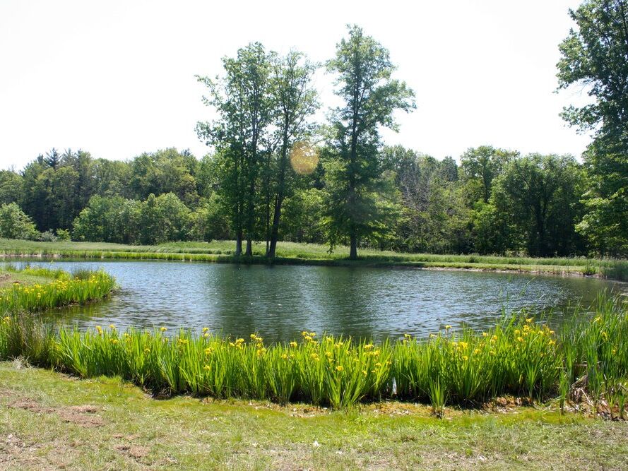 Picture of Royal Oaks, Lorain County Metro Parks