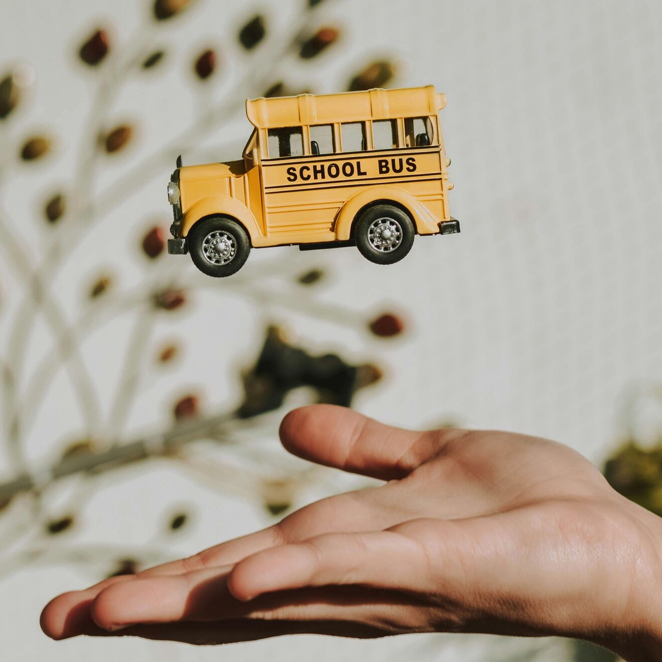 Picture of The Fun Bus