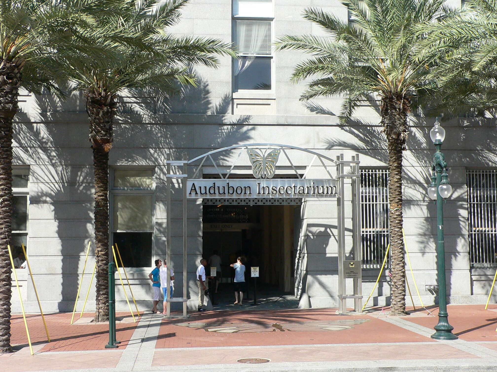Picture of Audubon Insectarium