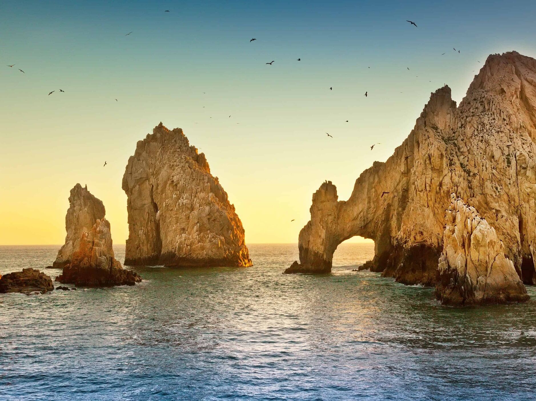 Picture of The Arch of Cabo San Lucas