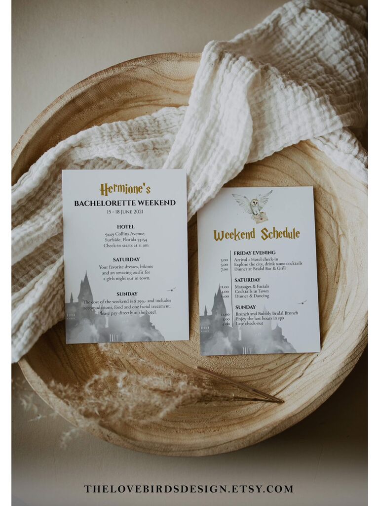 Hogwarts design in background with gold details and Hedwig graphic