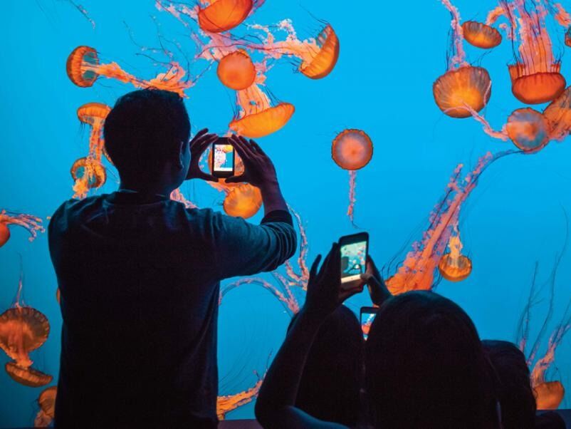 Picture of Monterey Bay Aquarium