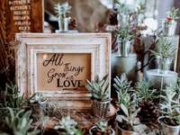 Sustainable Wedding Planning