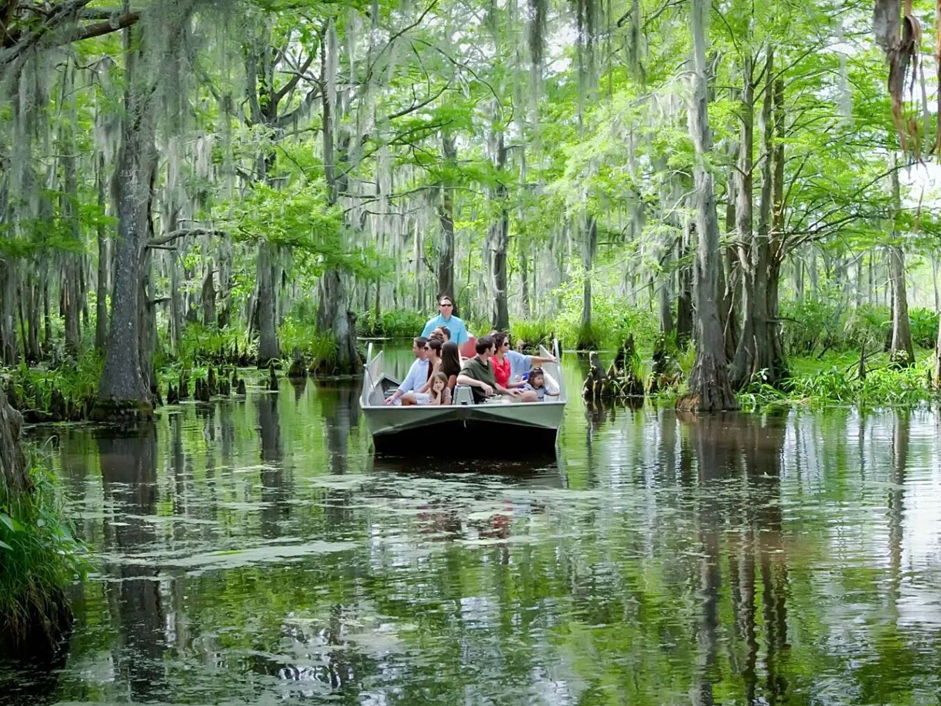 Picture of Cajun Encounters Tours