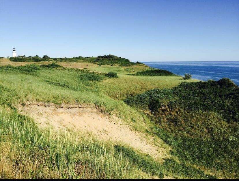 Picture of Highlands Links