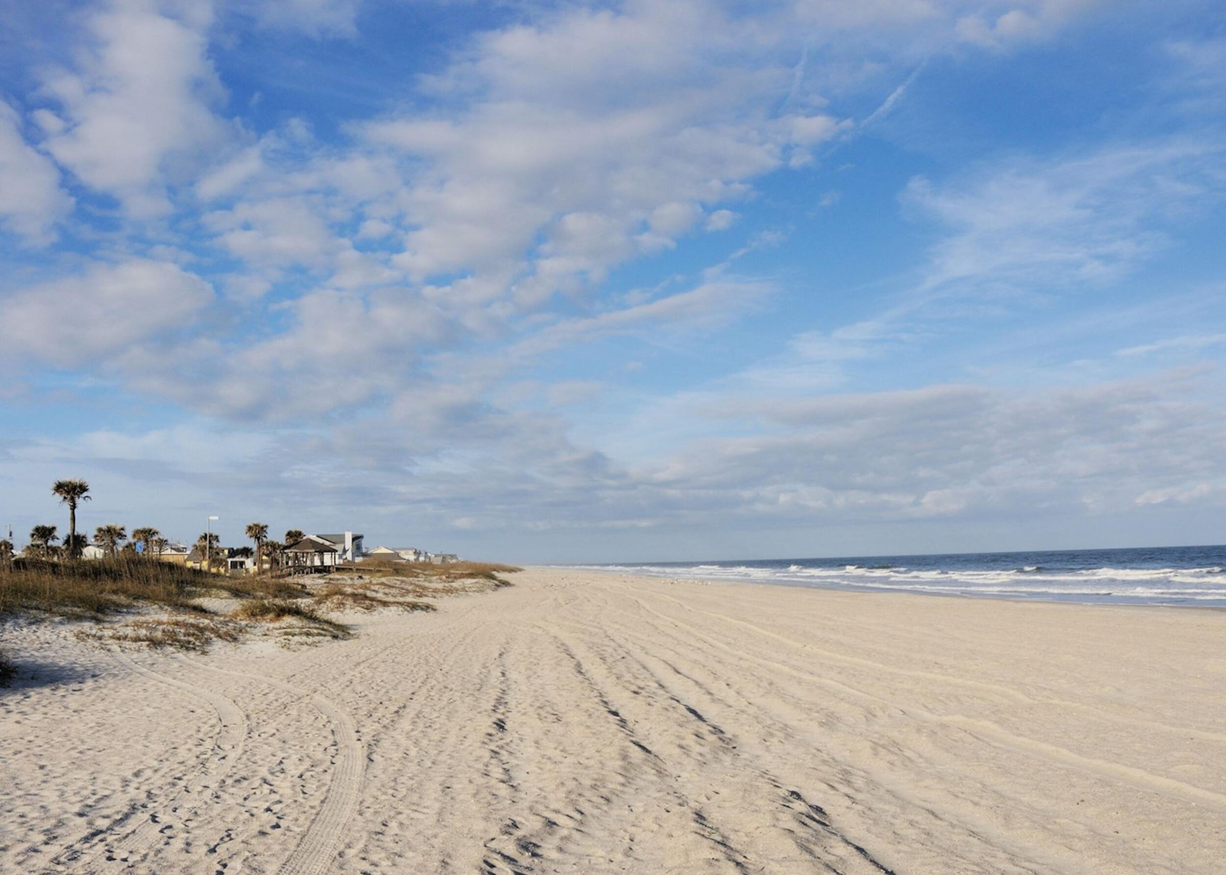 Picture of Main Beach Park