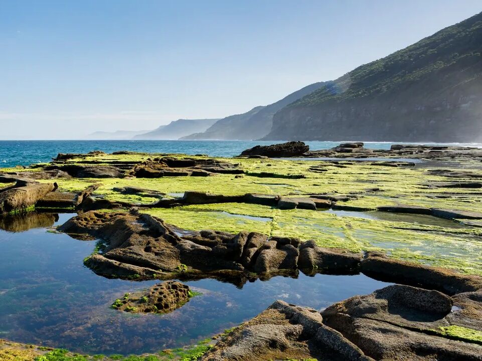 Picture of Royal National Park