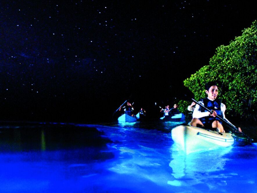 Picture of BAHÍA BIOLUMINISCENTE
