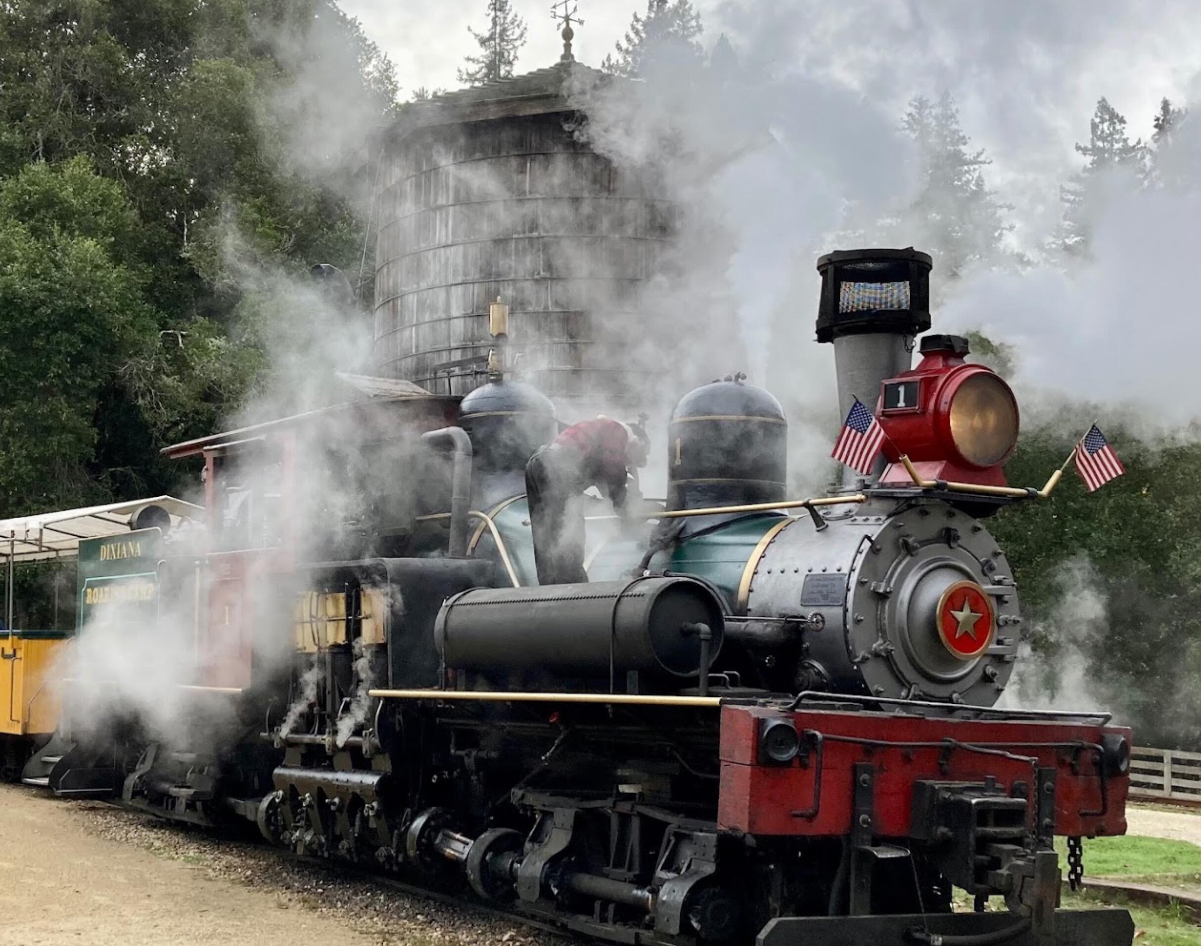 Picture of Roaring Camp