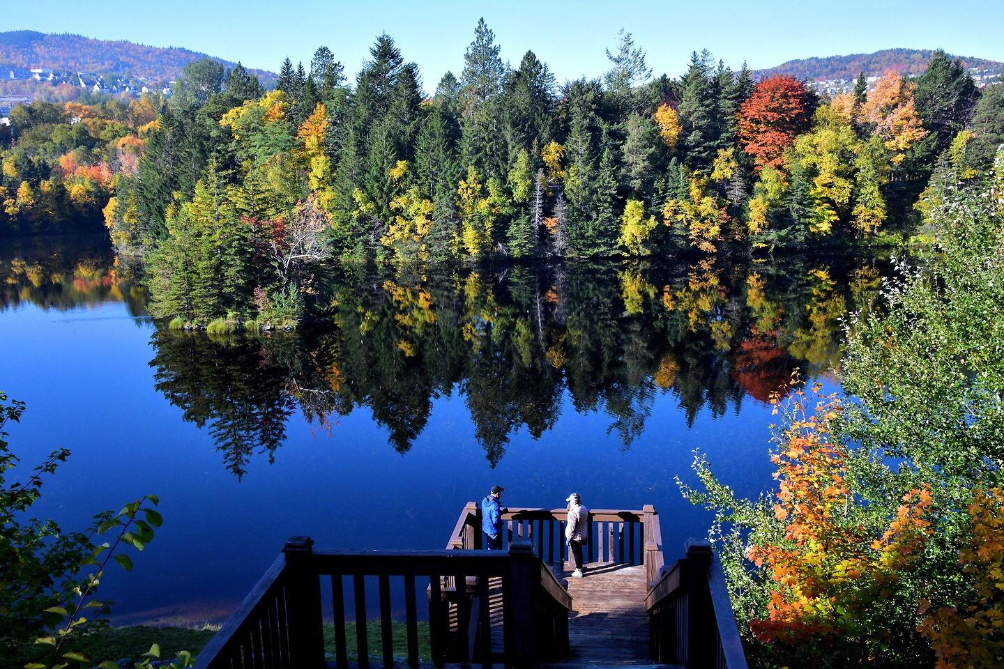 Picture of Glynmill Inn