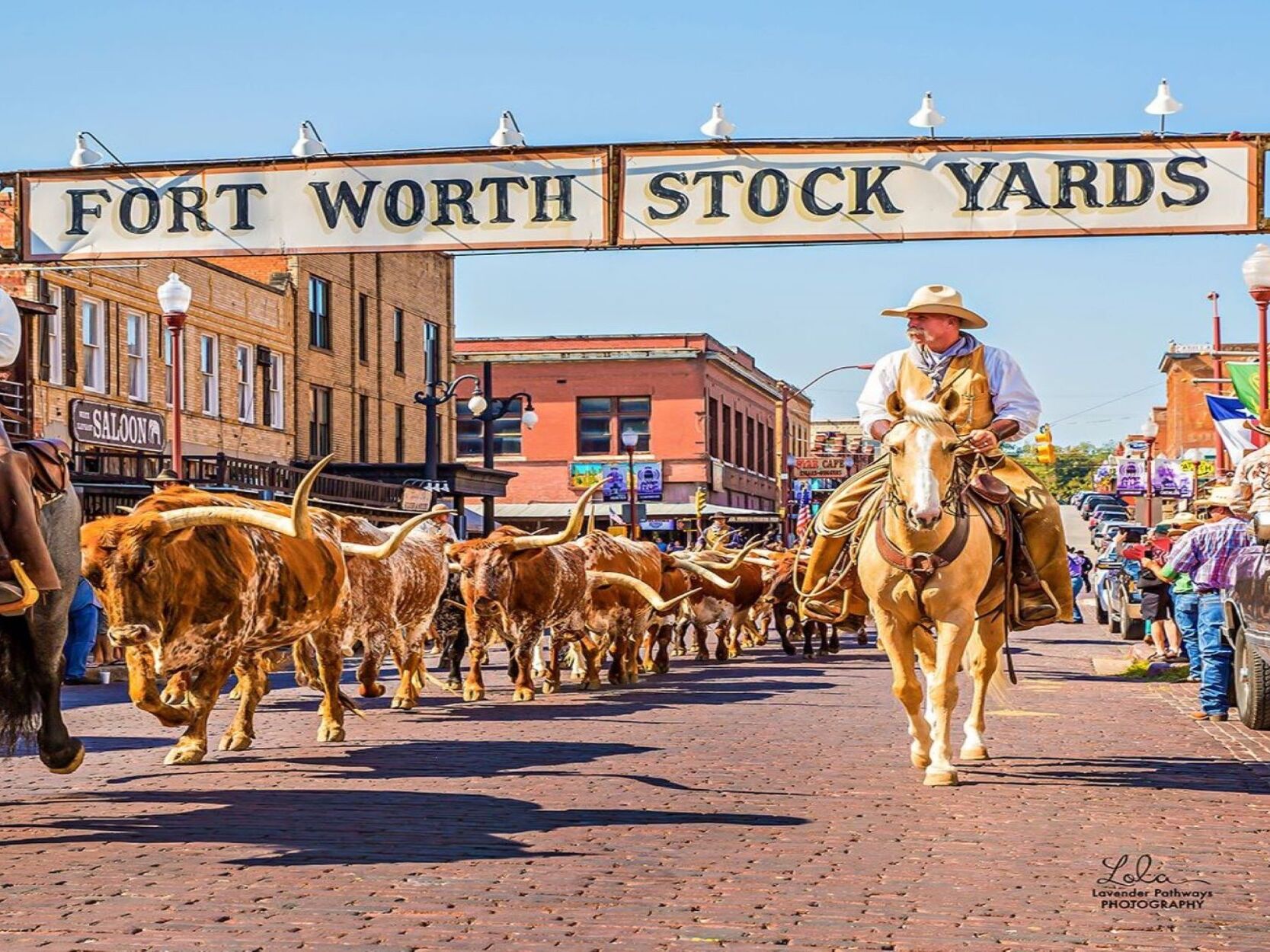 Picture of Fort Worth Stockyards