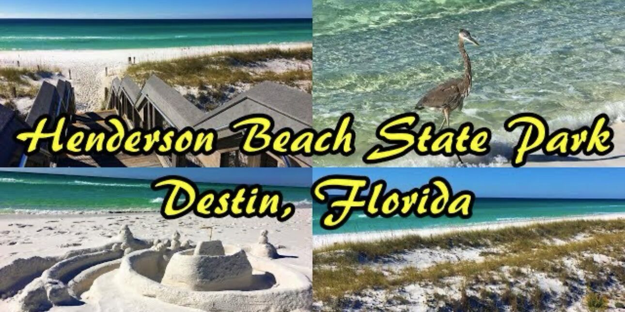 Picture of Henderson Beach State Park
